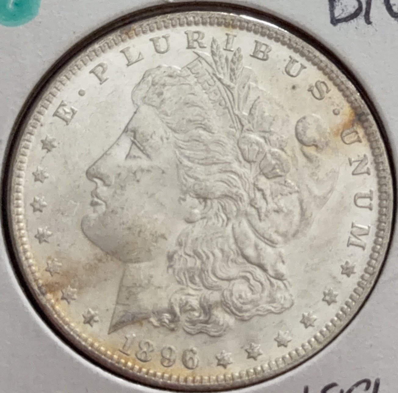 Online Bidding Only