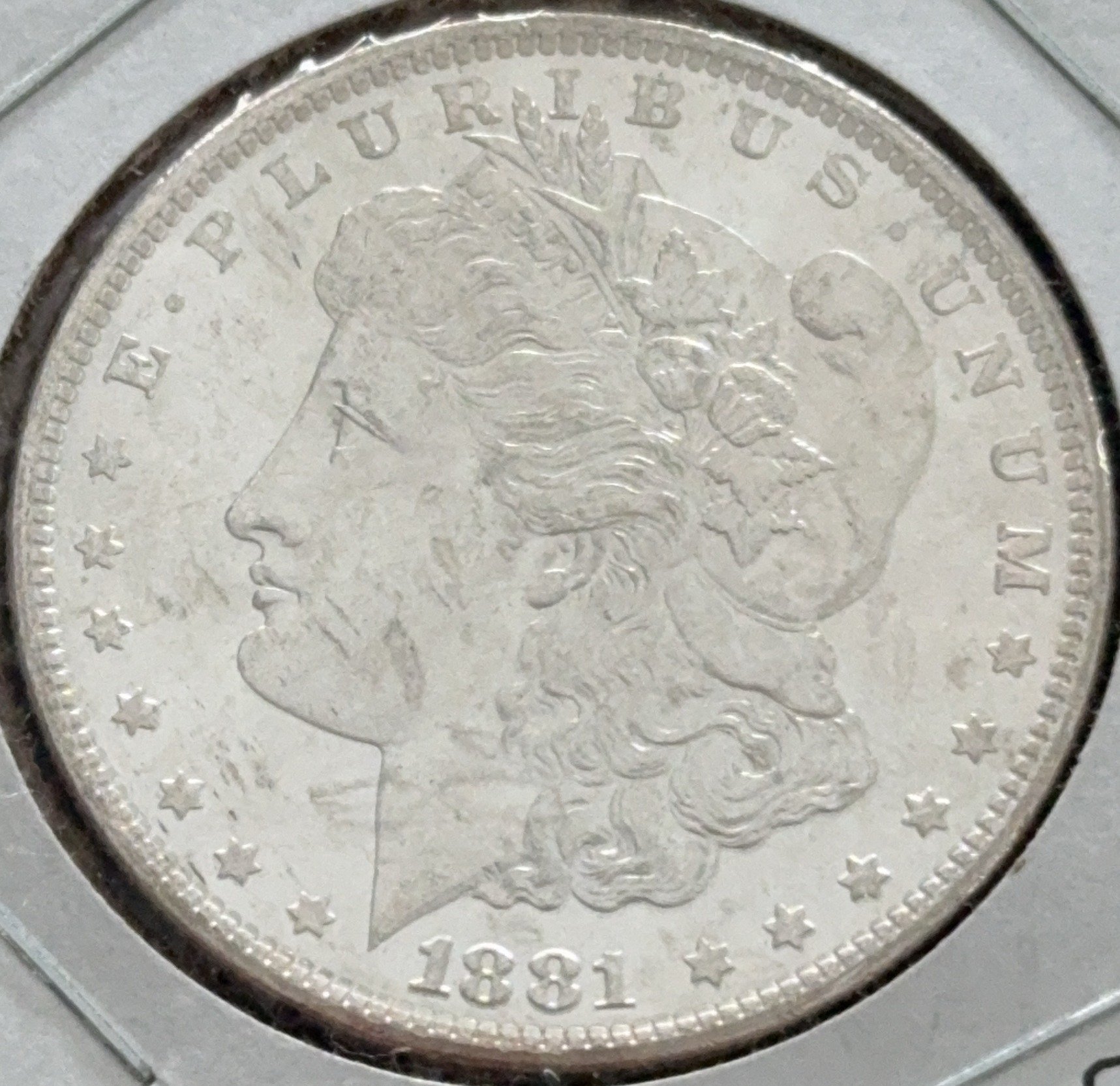 Online Bidding Only