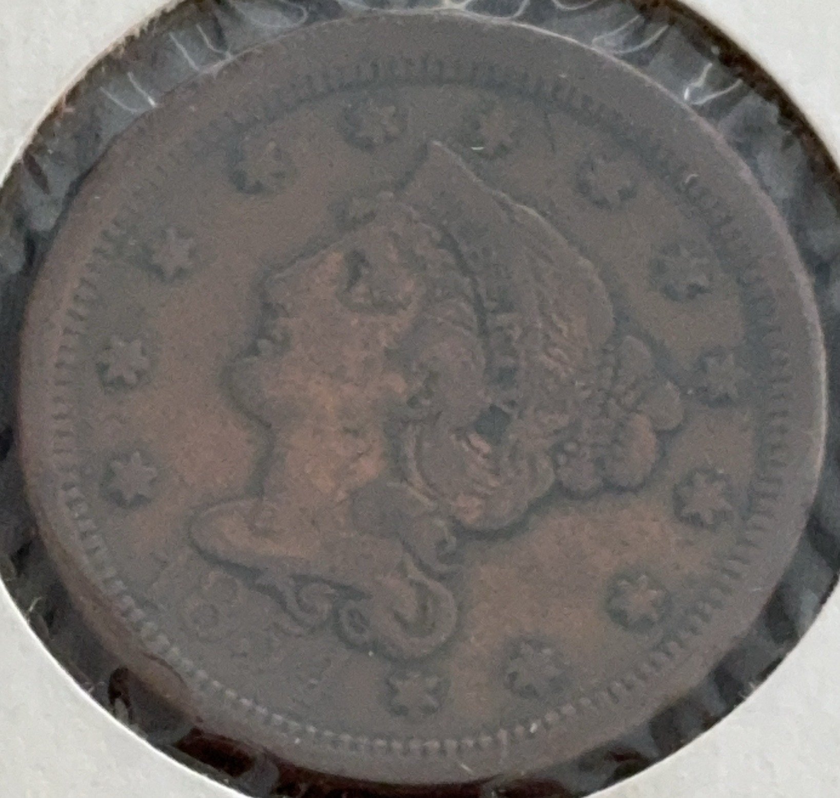 Online Bidding Only