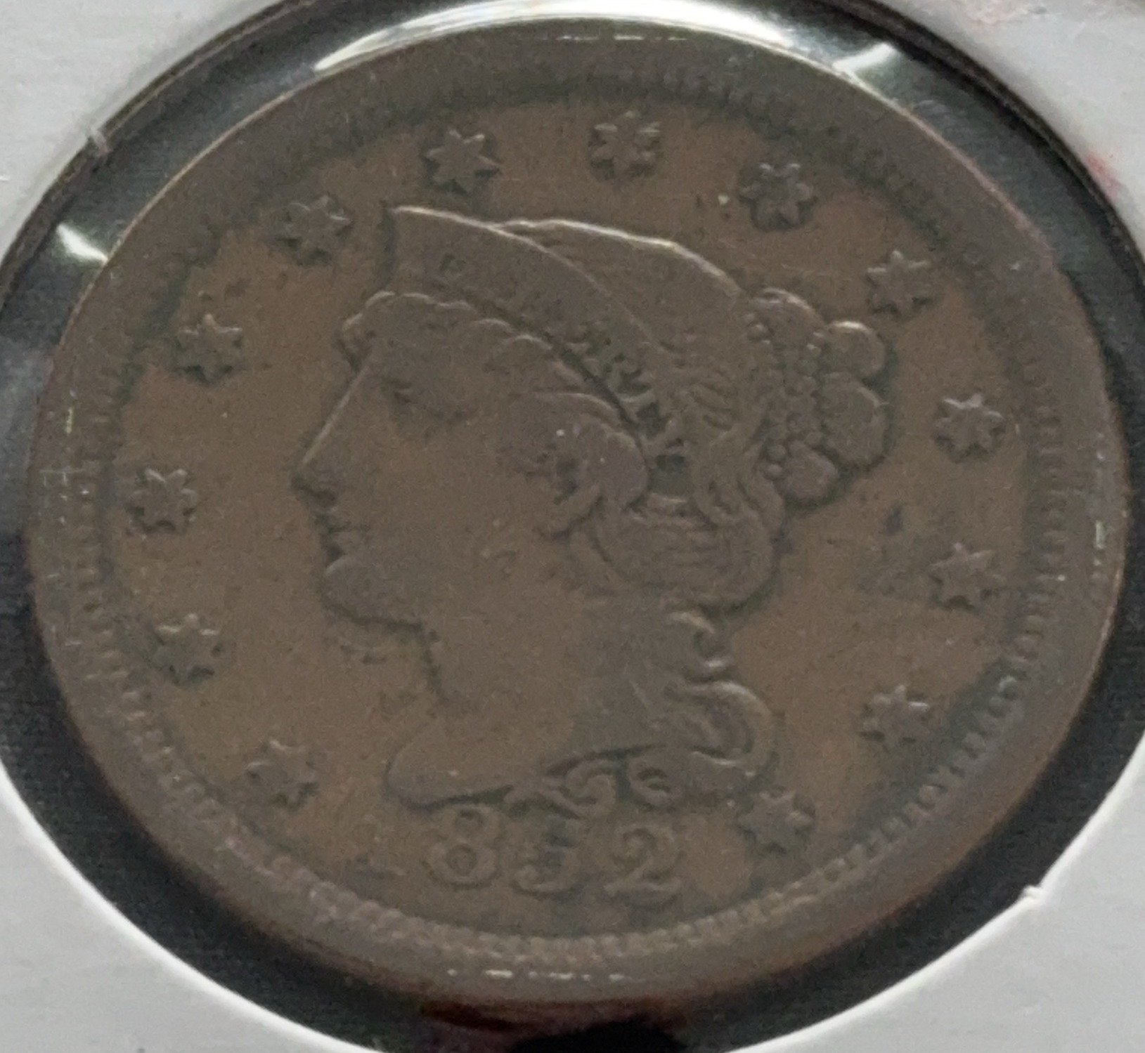 Online Bidding Only