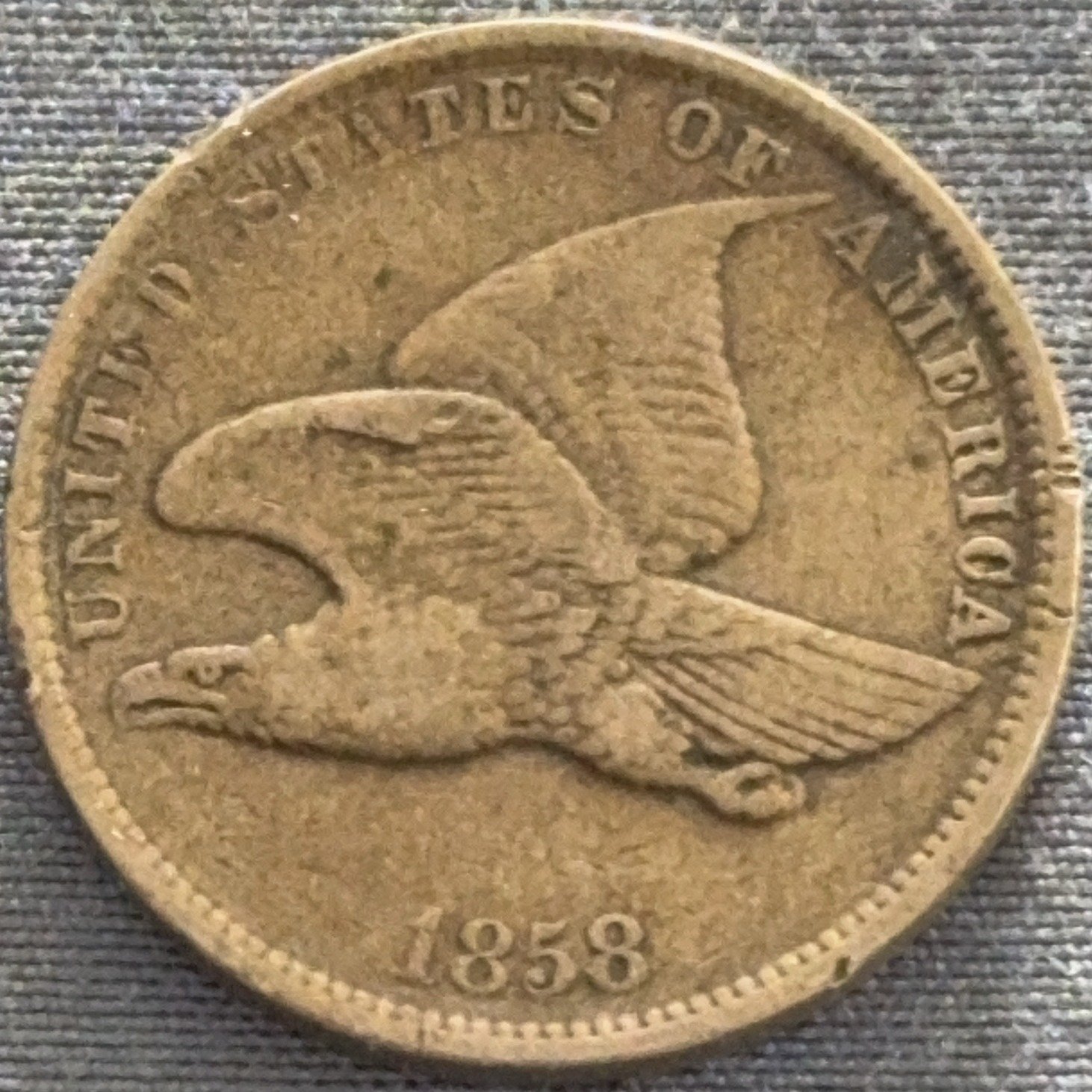 Online Bidding Only