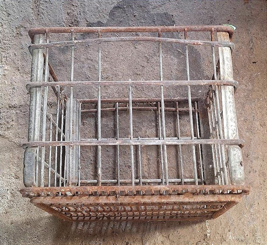 Online Bidding Only