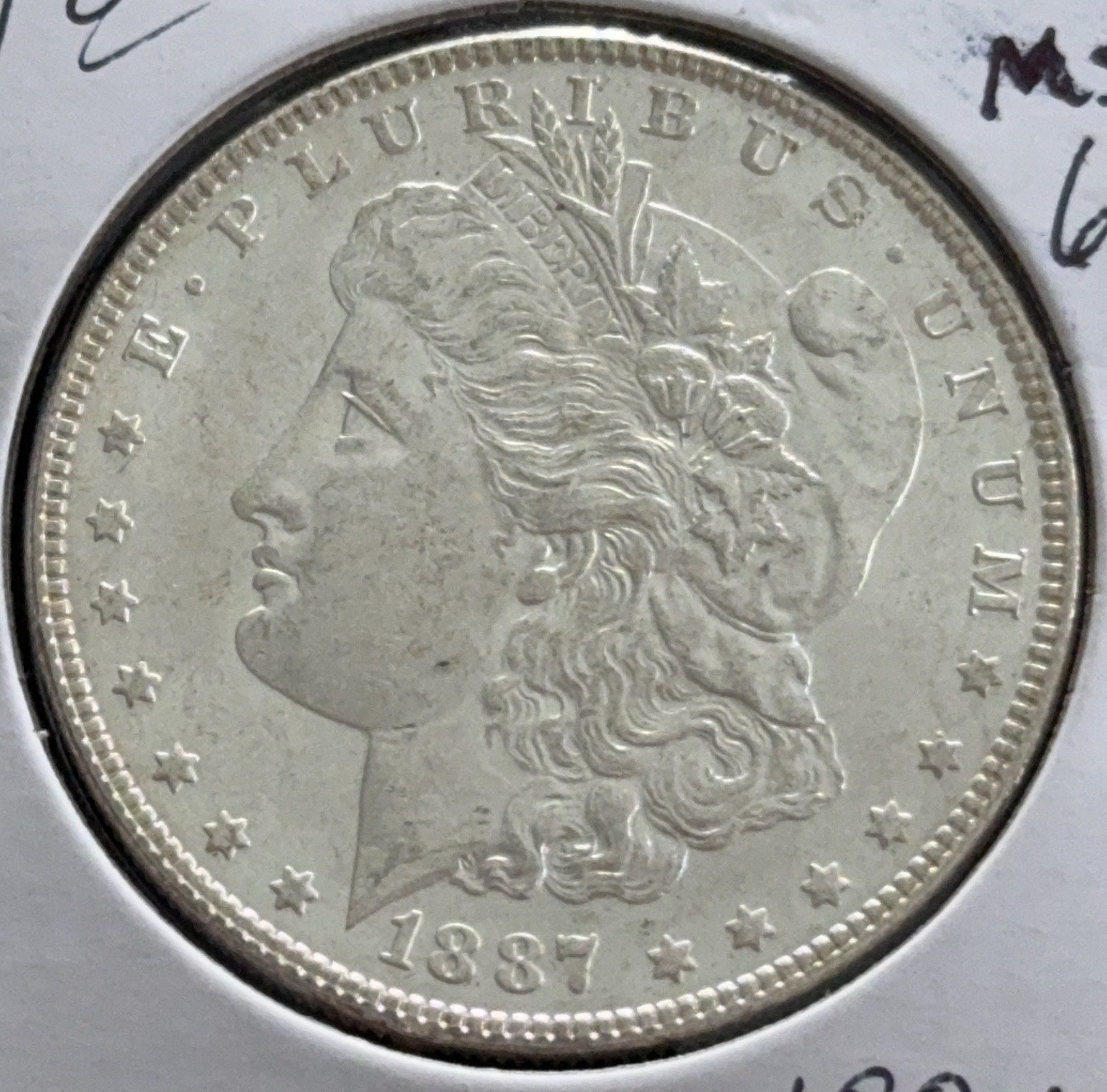 Online Bidding Only