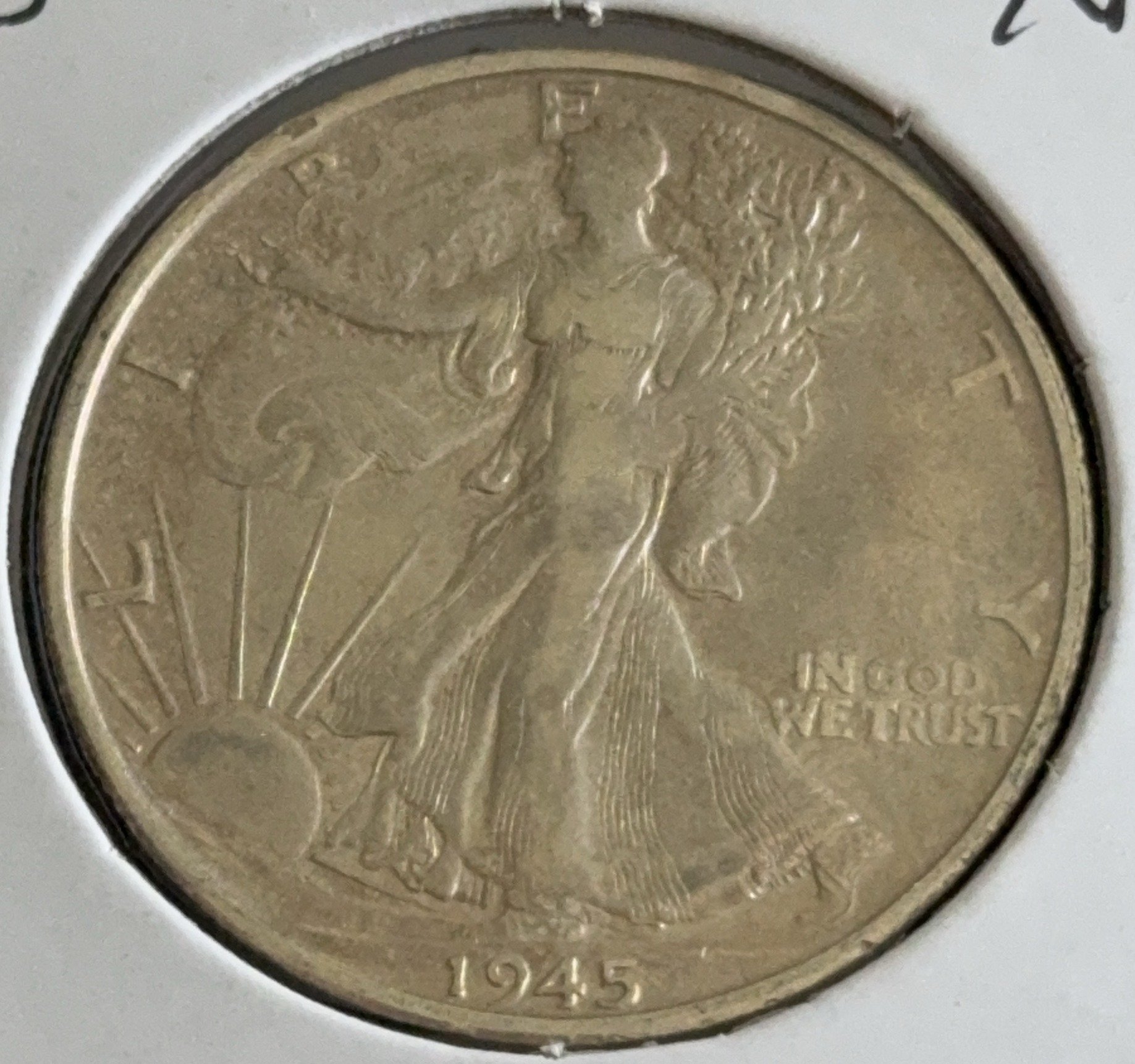 Online Bidding Only