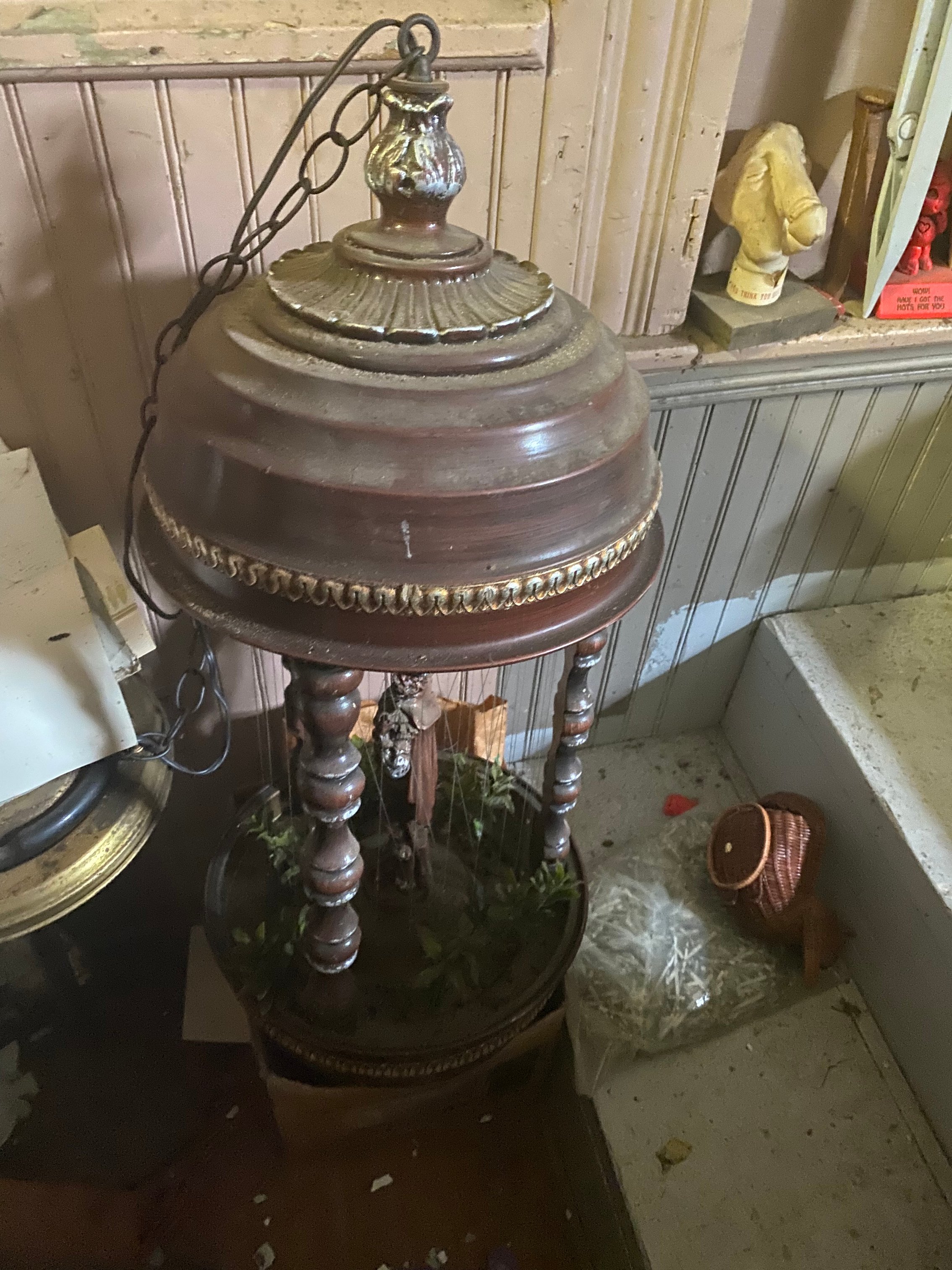 Photos