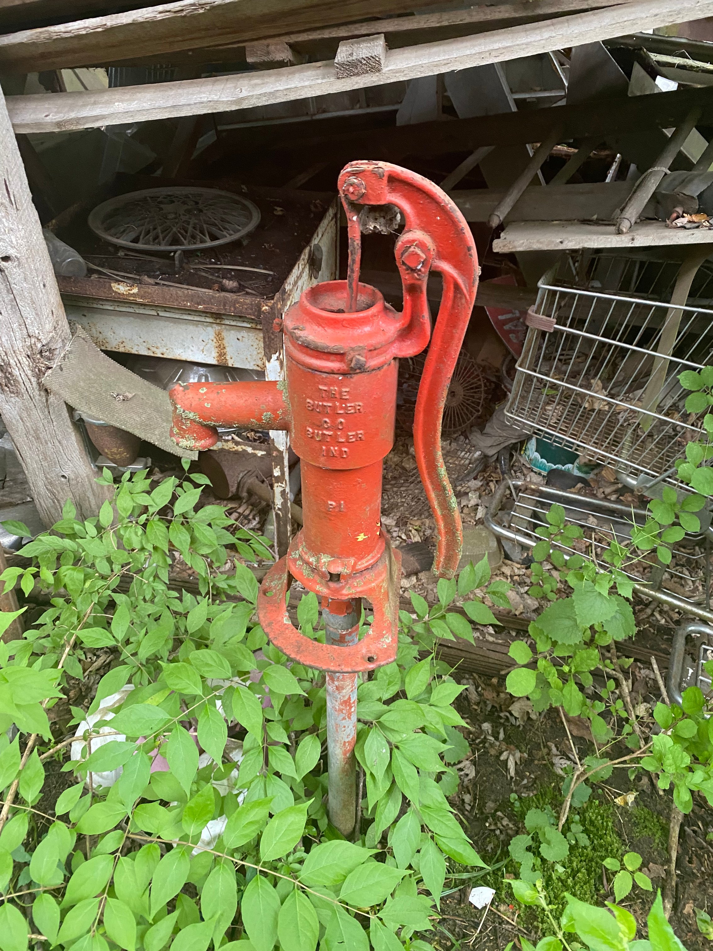 Photos