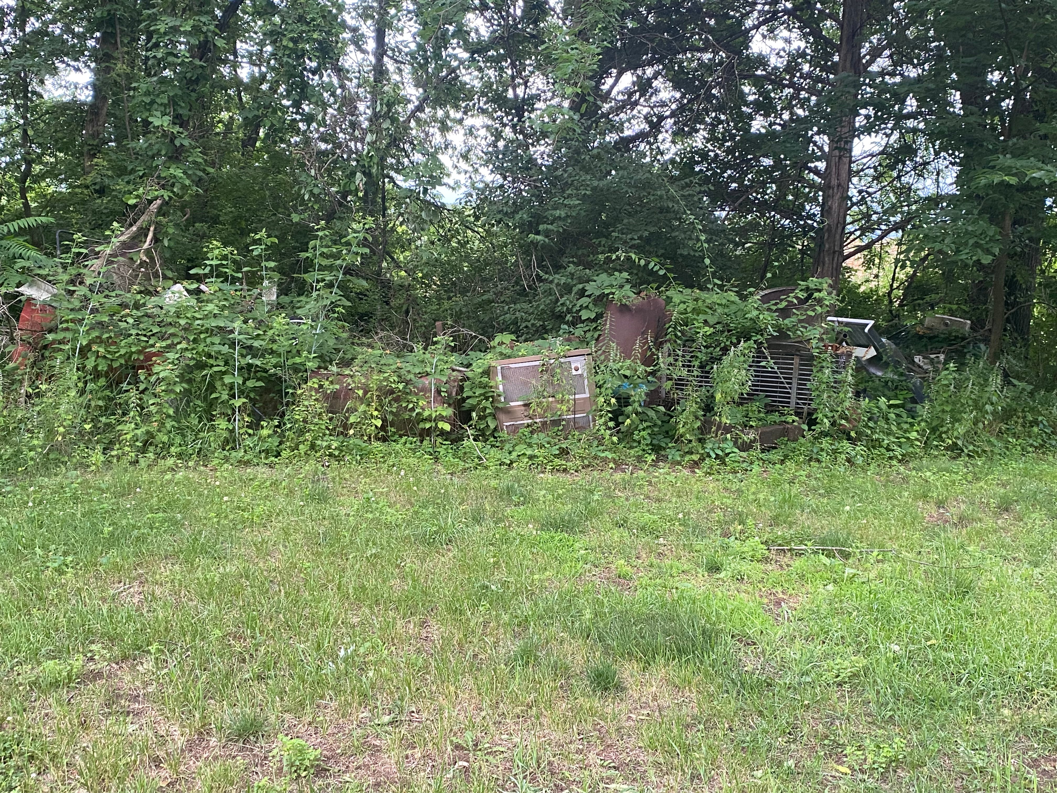 Photos
