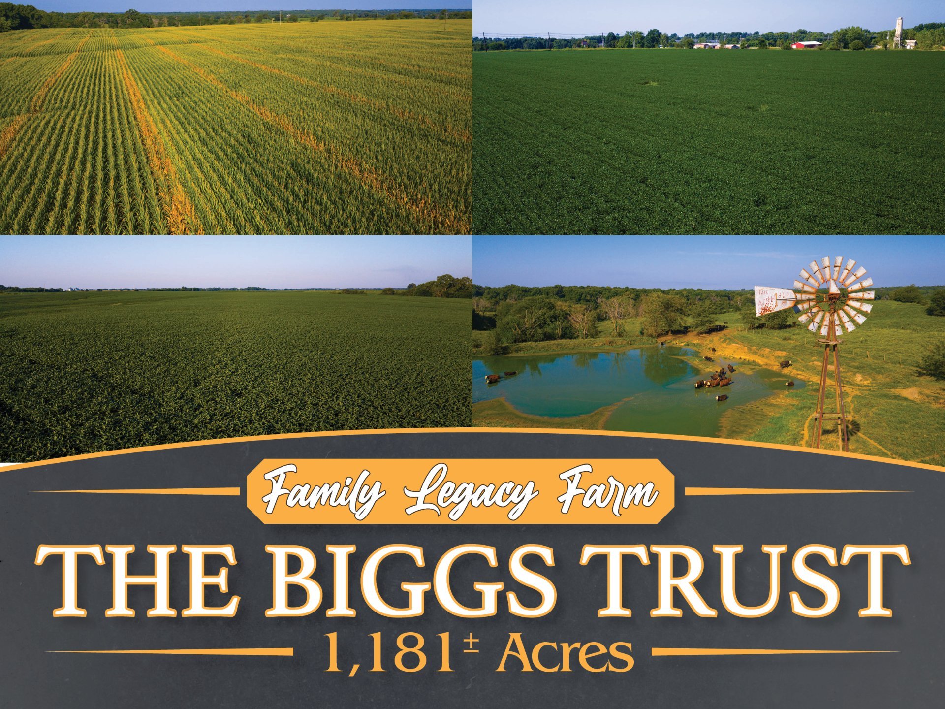 The Biggs Trust Land Auction - 1, 181± Acres in 13 Tracts