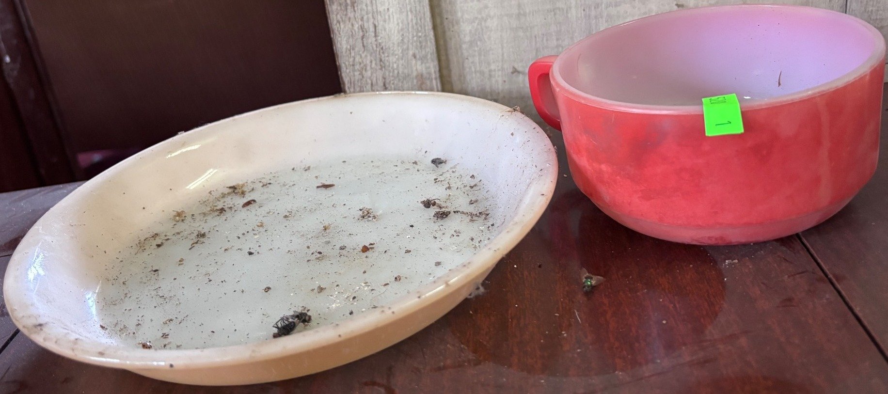 Online Bidding