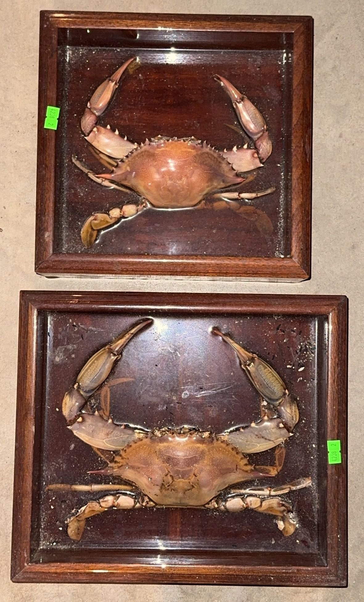 Online Bidding