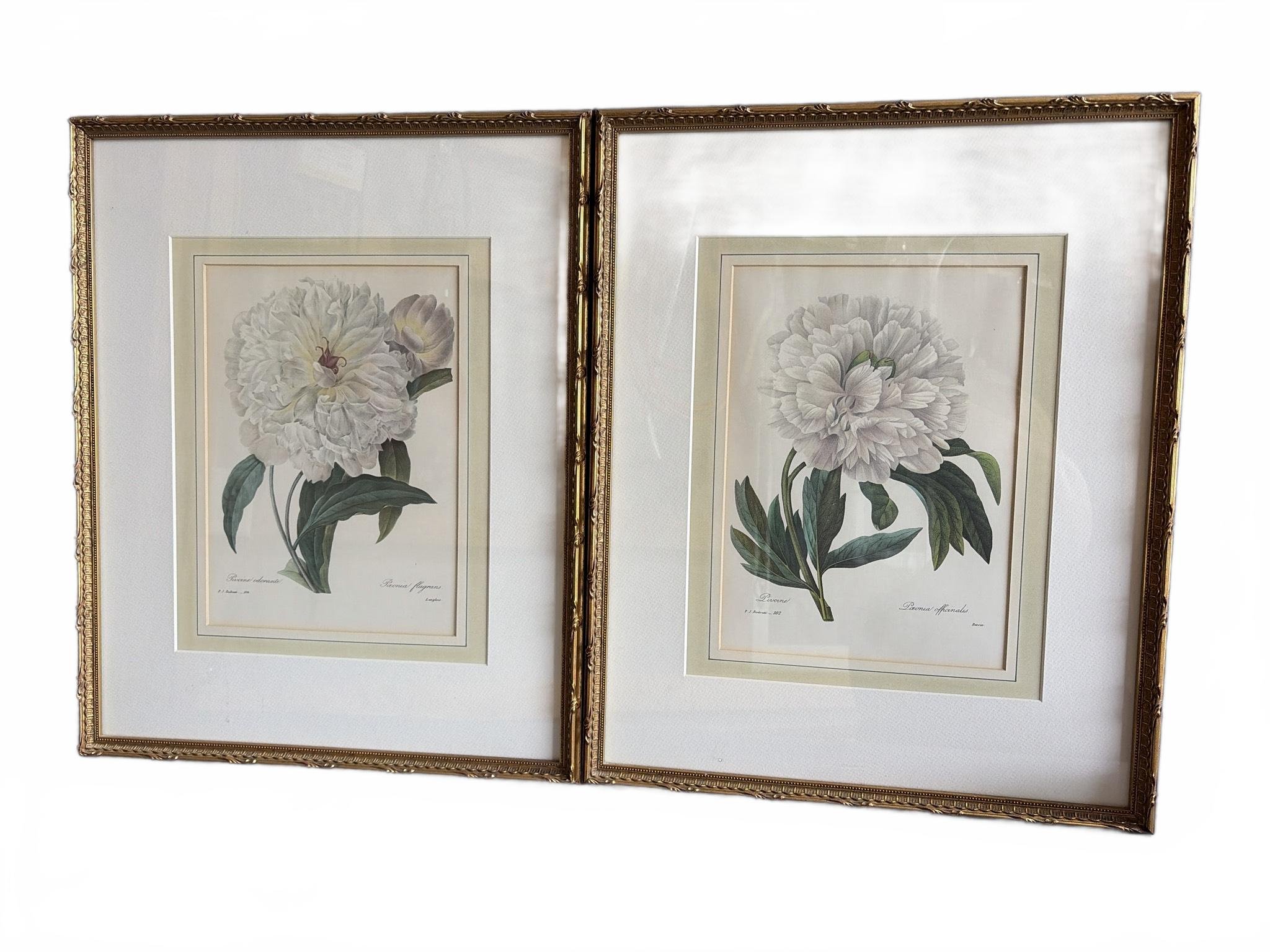 ONLINE BIDDING ONLY
