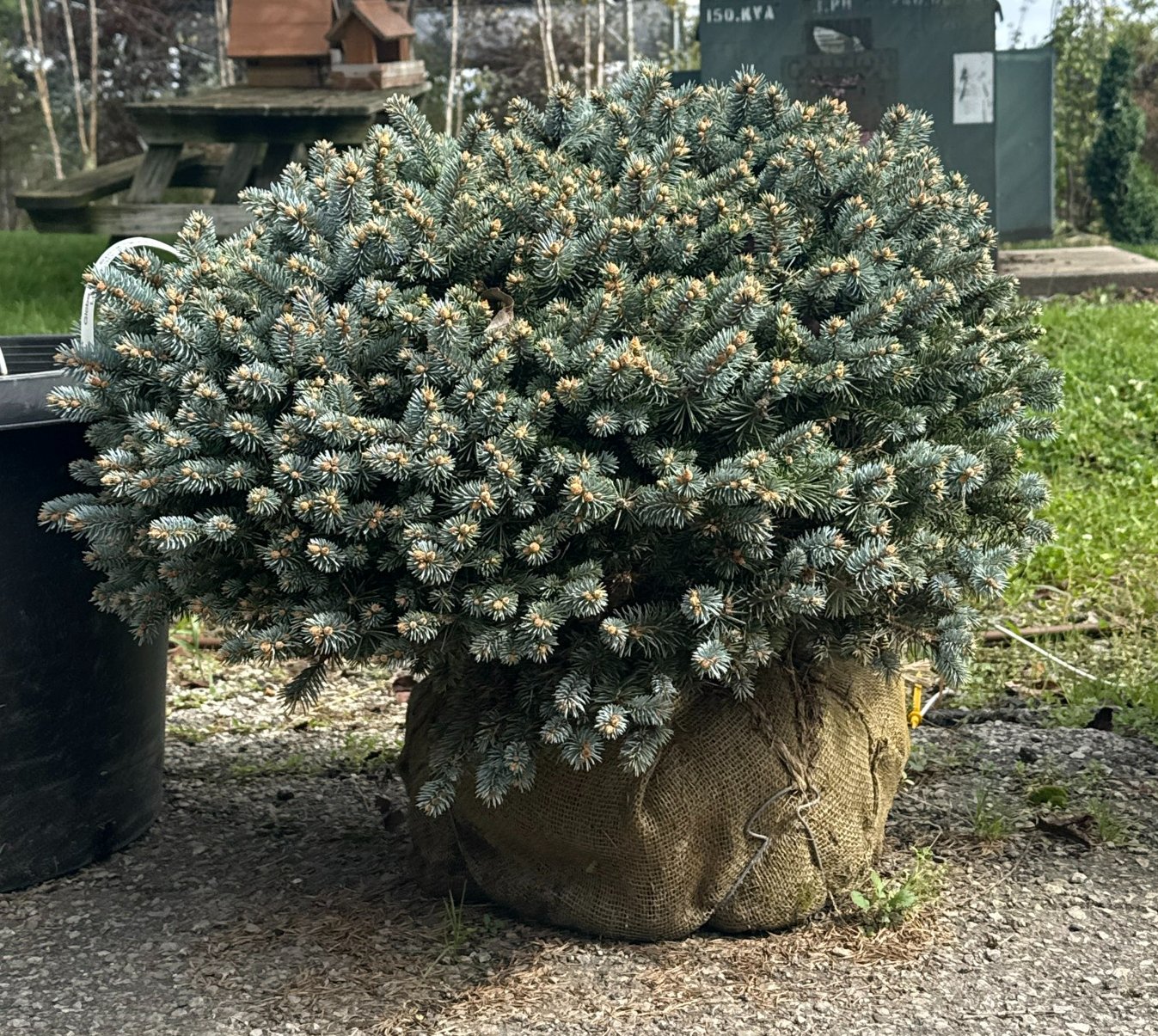 ONLINE BIDDING ONLY