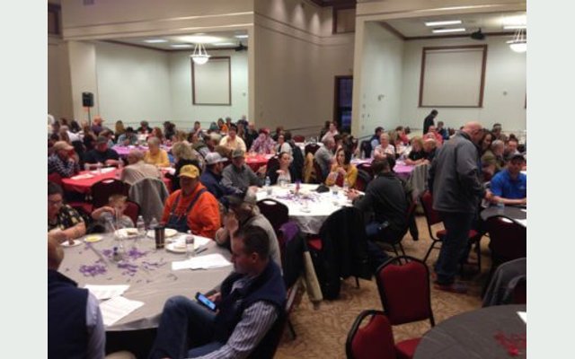 Major County Premium Auction