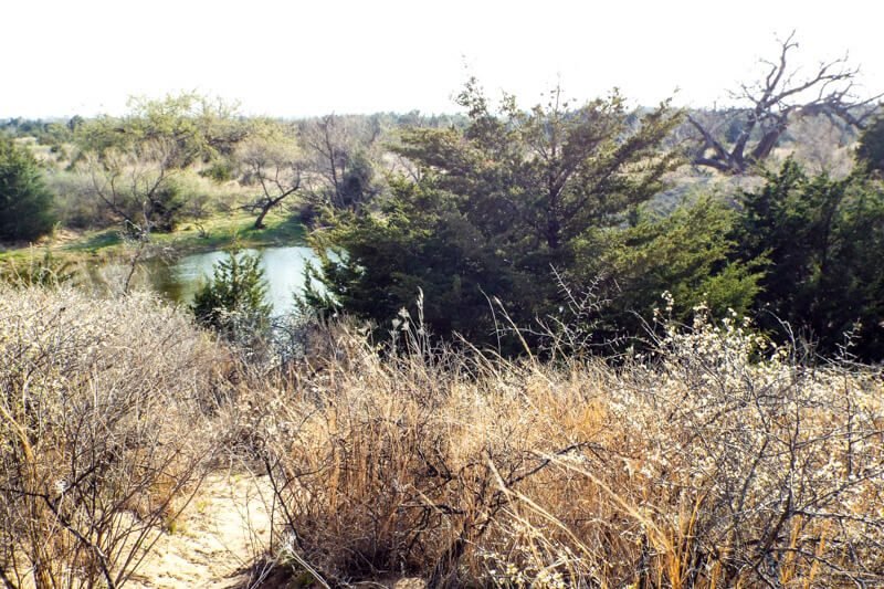 Photo 52