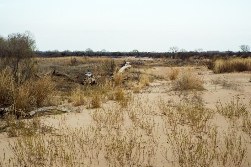 Photo 116
