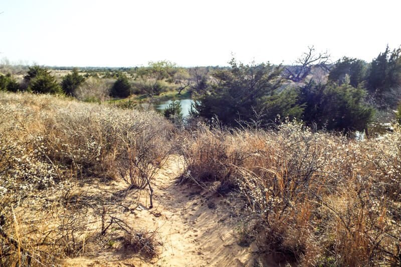 Photo 51