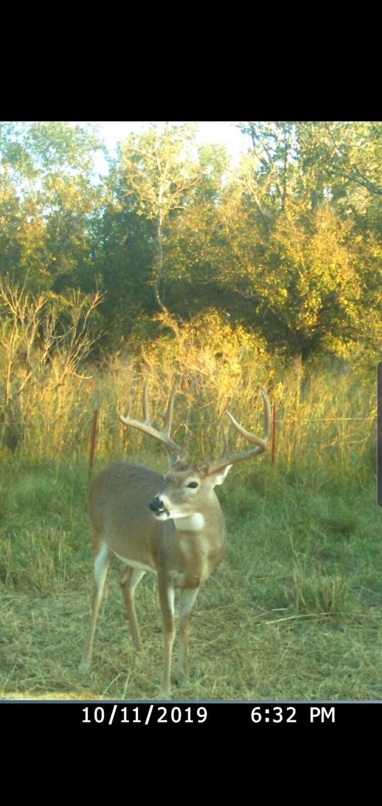 1,688± ACRES * MAJOR COUNTY * RINGWOOD * CLEO SPRINGS OKLAHOMA