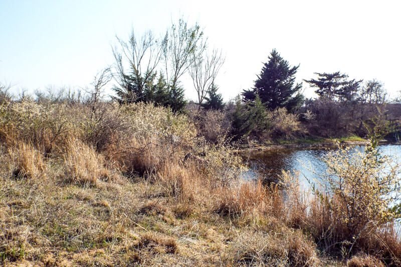 Photo 41