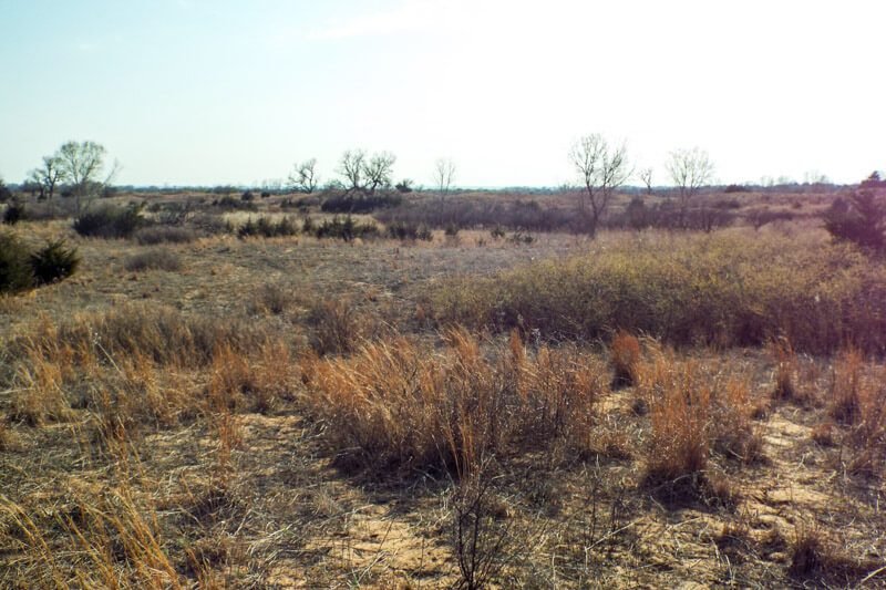 Photo 49