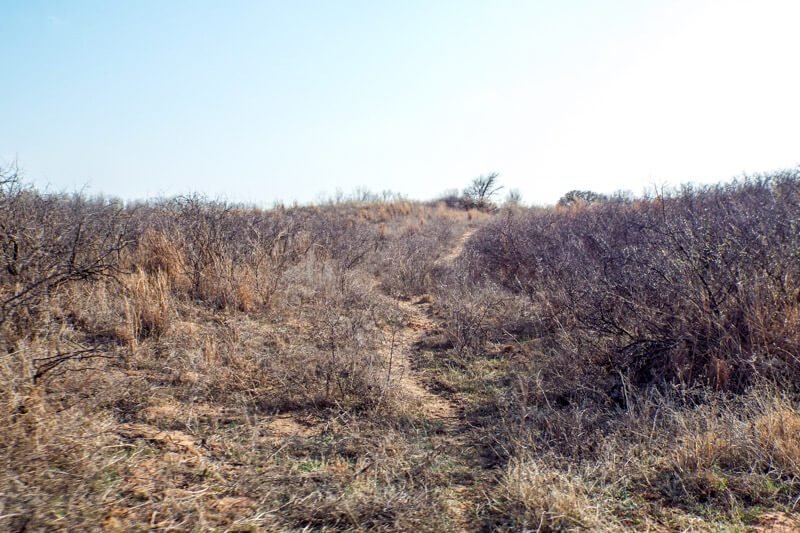 Photo 46