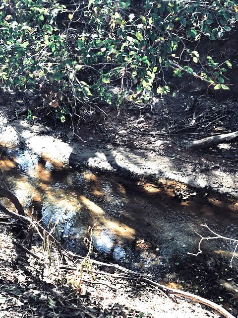 Photo 39