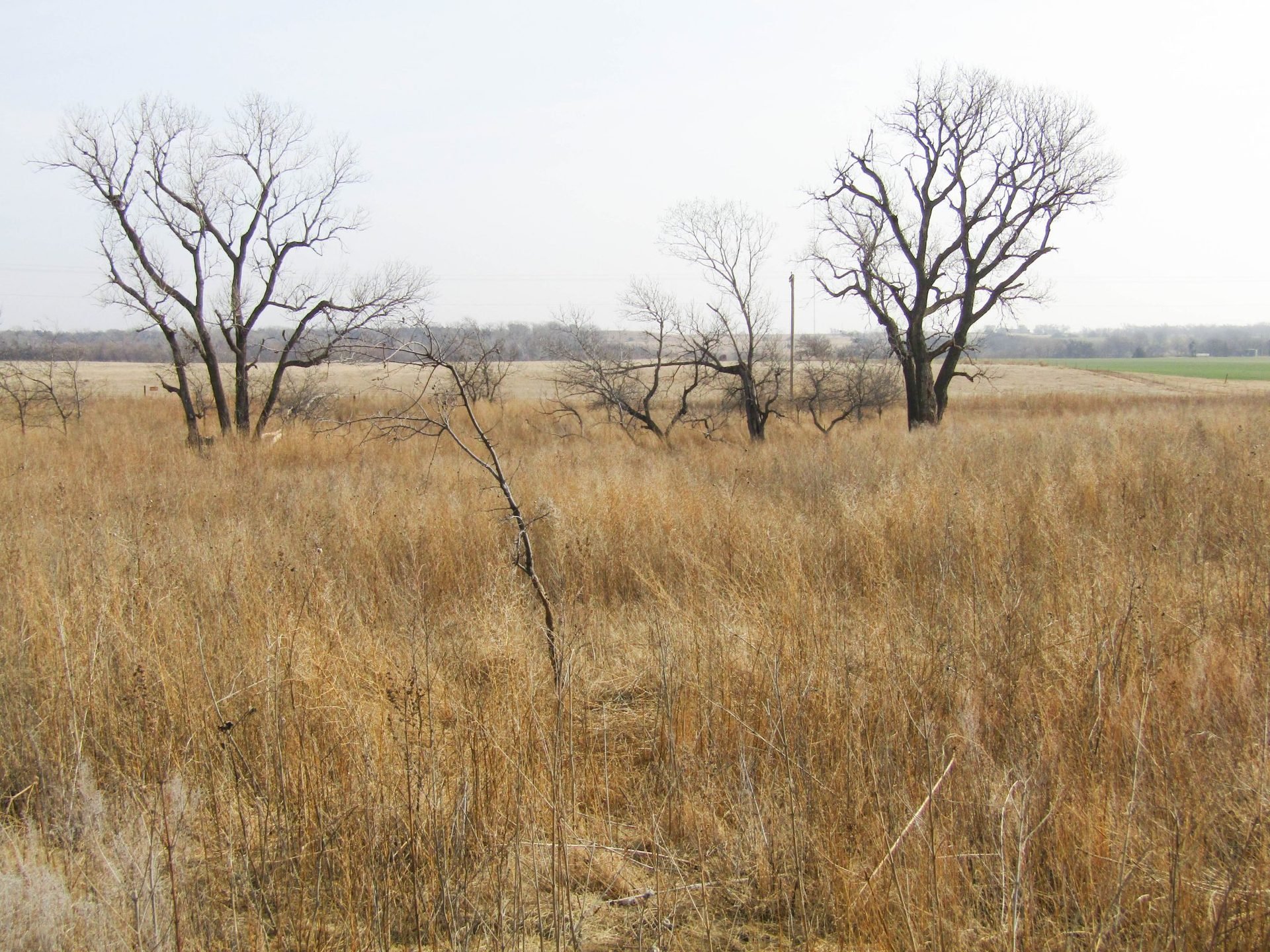 10± Acre Building Site Phillips & N Imo Rd Enid OK