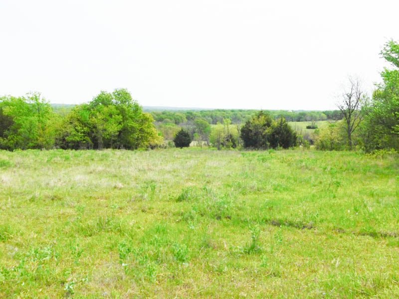 Photo 48