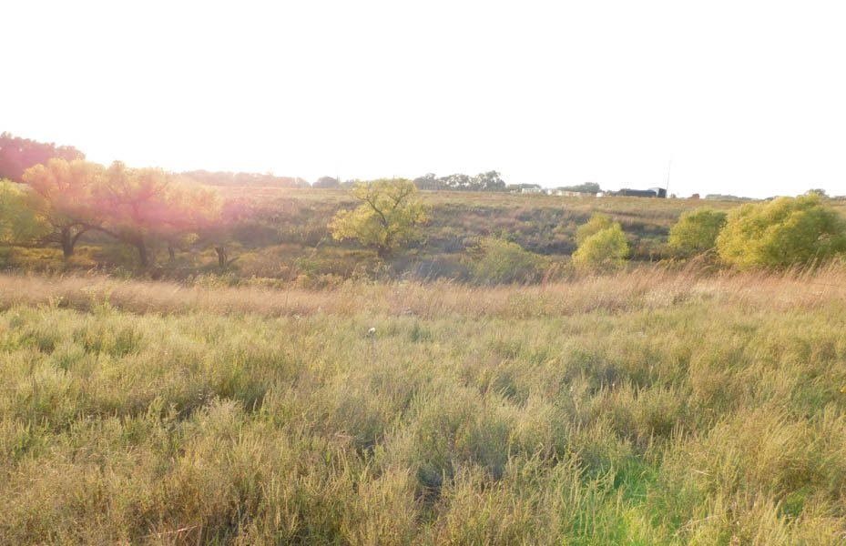 Photo 32