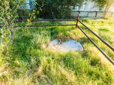 Photo 48