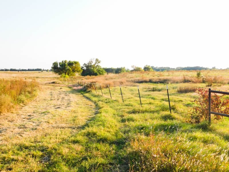Photo 43