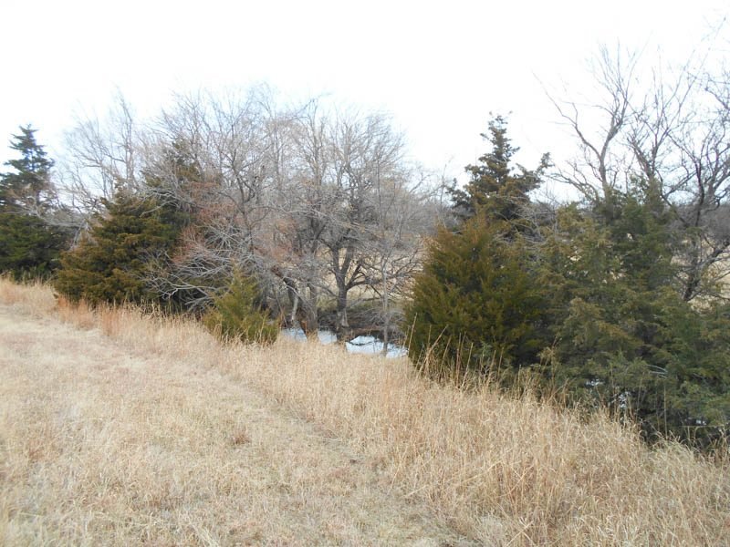 Photo 49