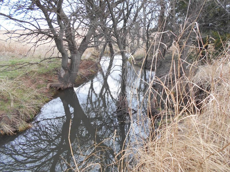 Photo 47