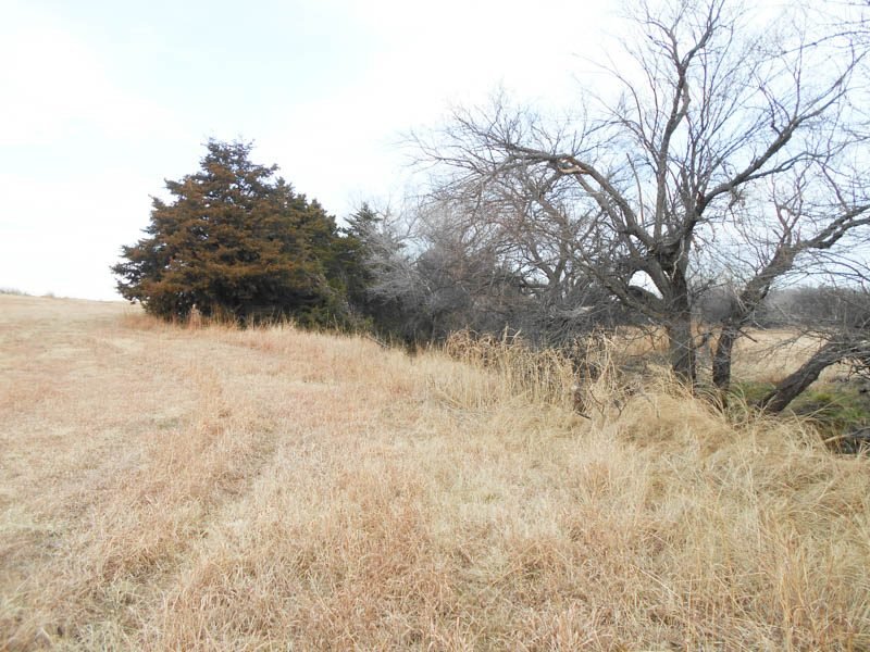 Photo 48