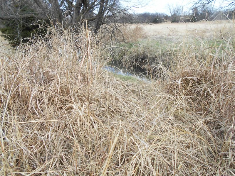 Photo 46