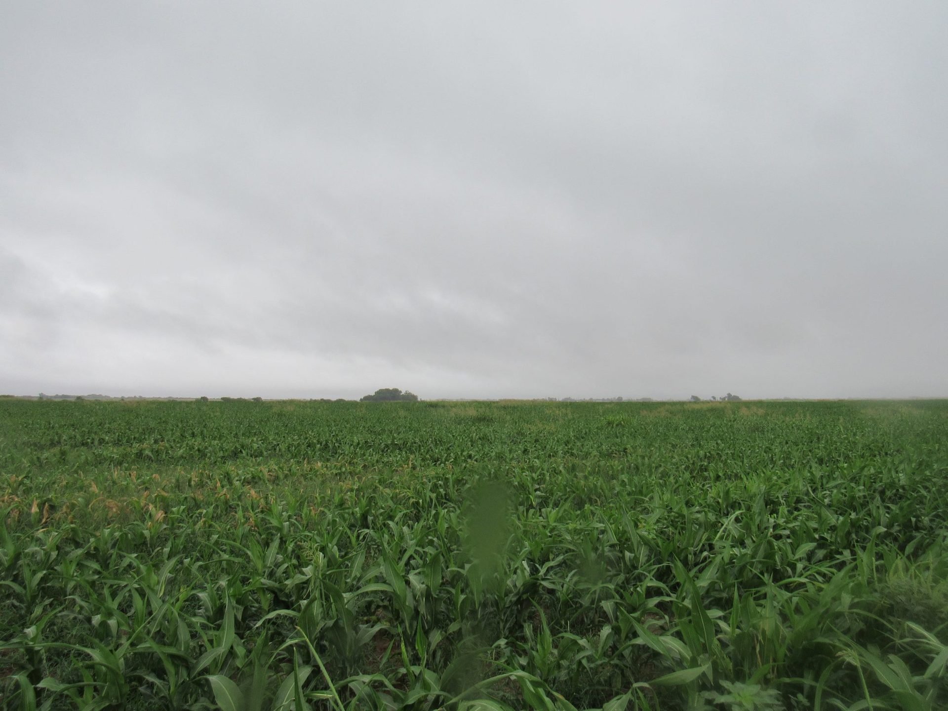 160± ACRES ALINE OKLAHOMA