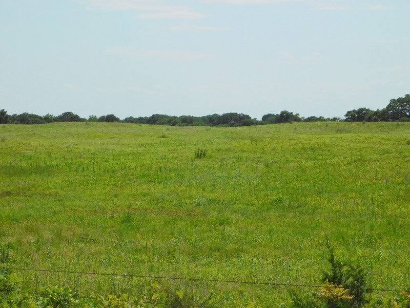 10± ACRES * OFFERED IN TRACTS * RINGWOOD AREA