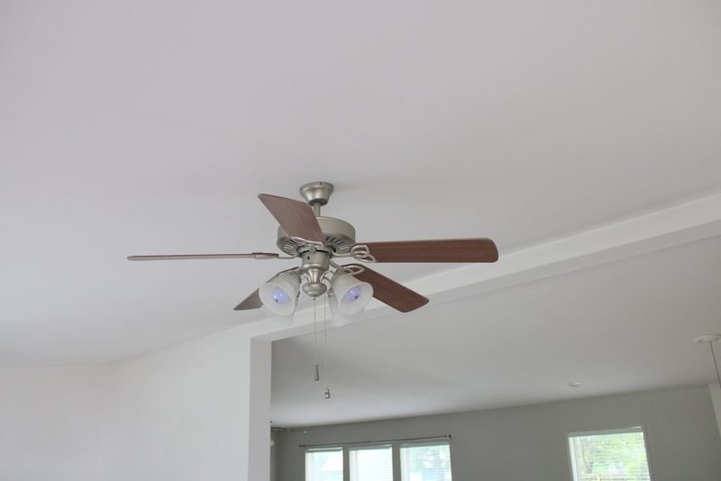 Photo 162