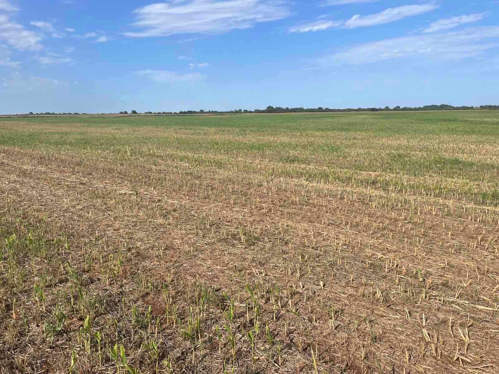 11.96 Acres MOL Enid OK