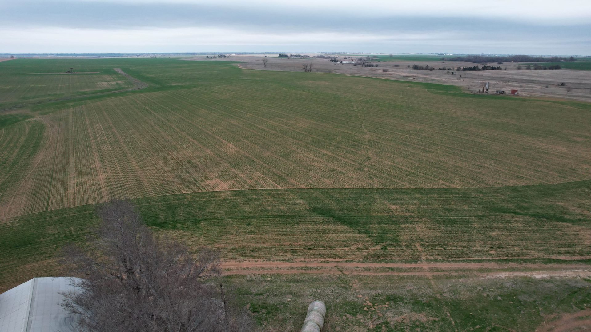 Photo 33