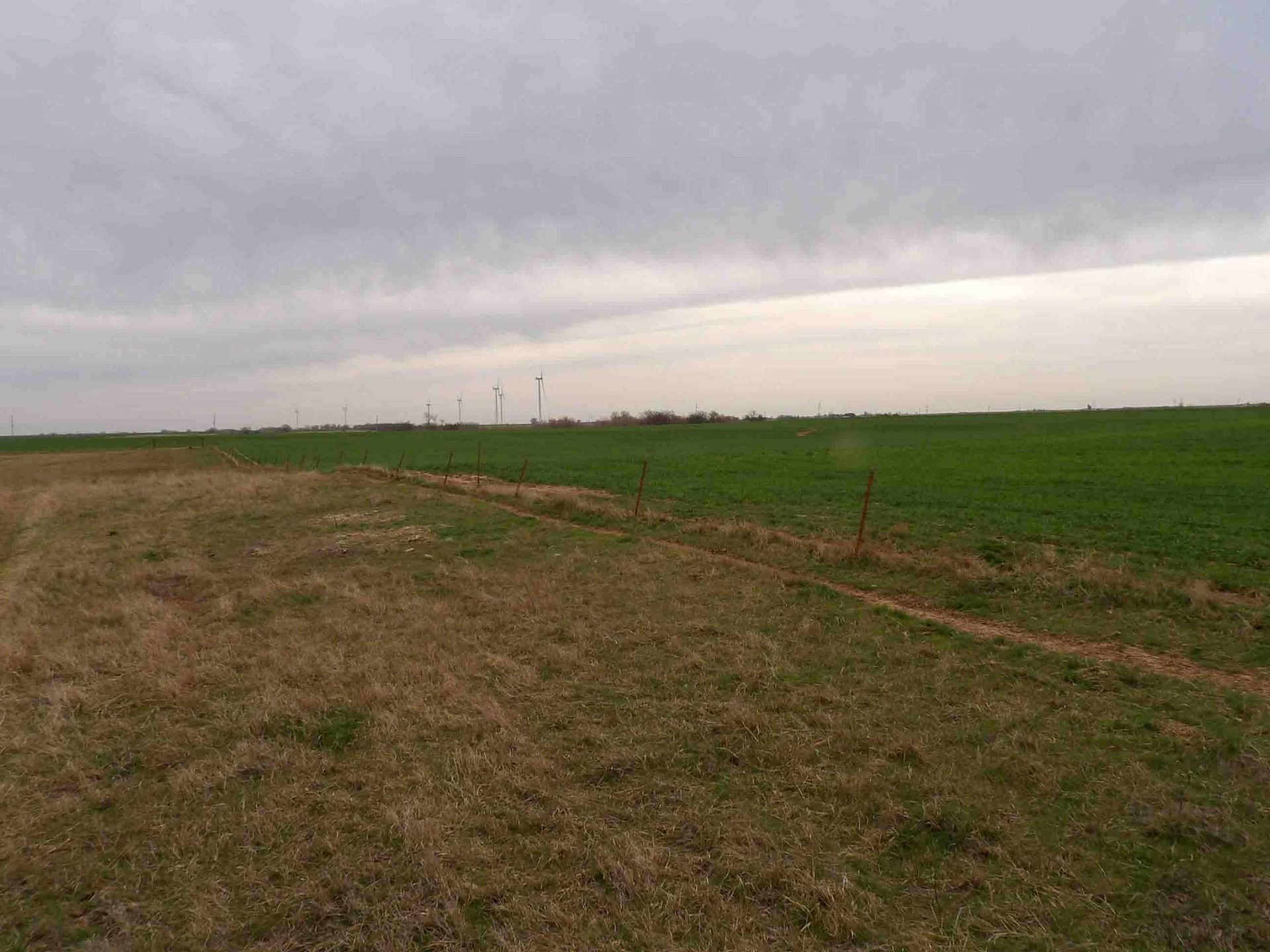 Photo 34