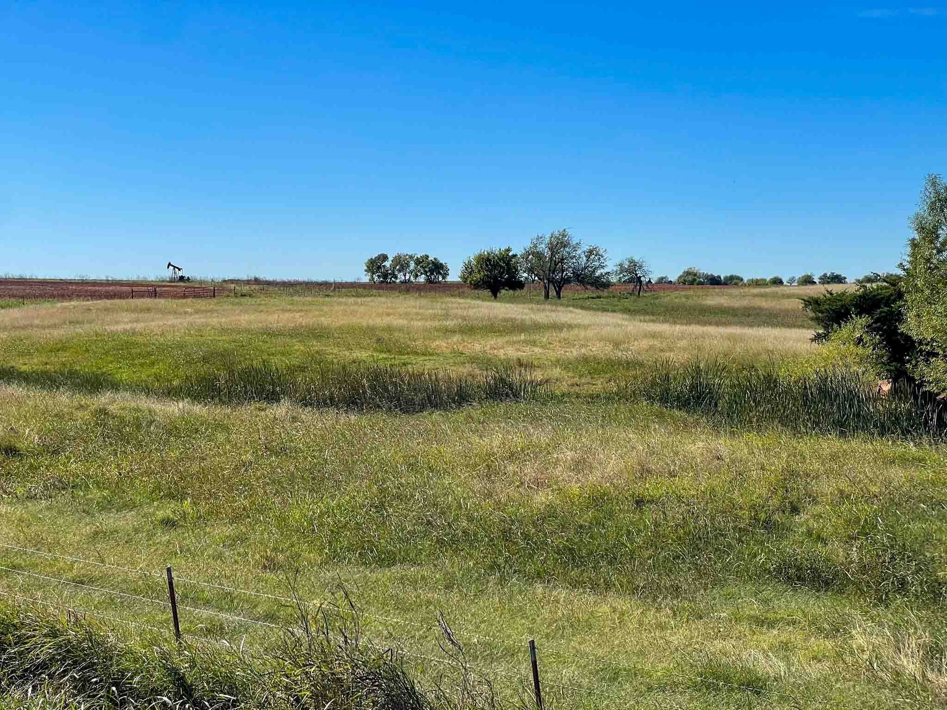 Tract 2 - 160± Acres DEVELOPMENTAL PROPERTY * GRASS PASTURE * TIMBER * HUNTING * HAY MEADOWS