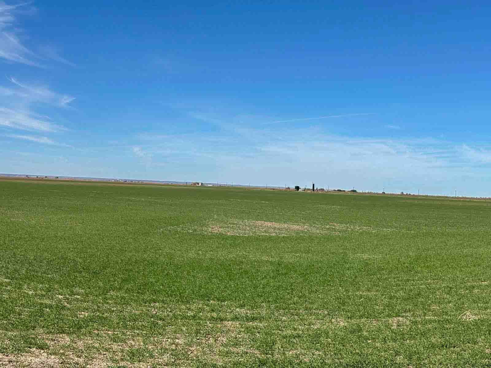153± Acres MOL * Blaine County OK