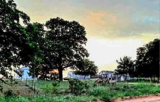 Photo 40