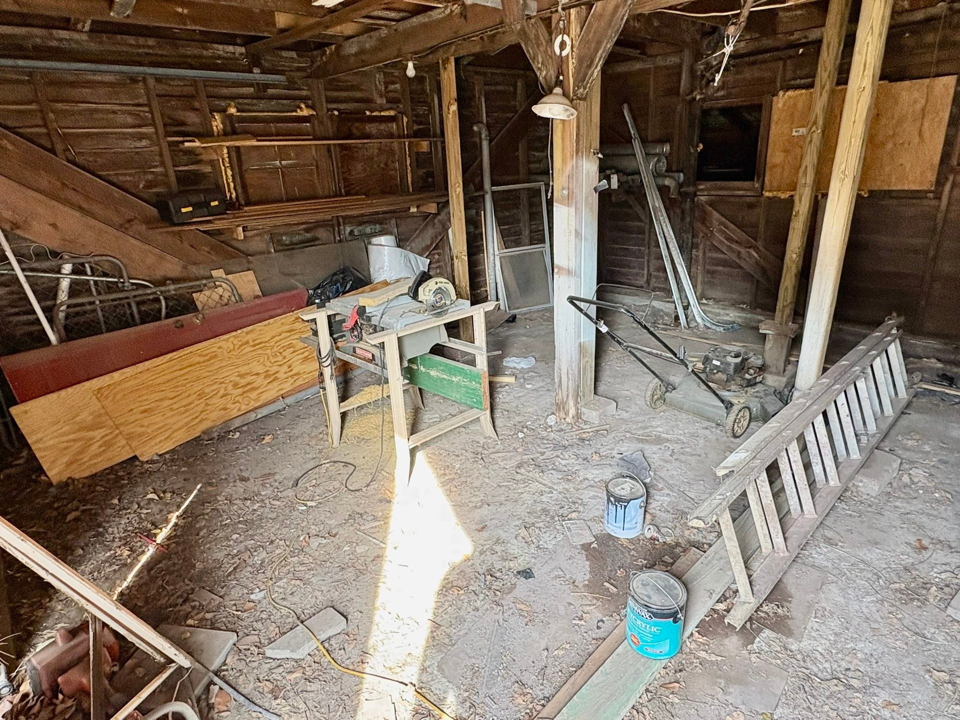 Photo 11