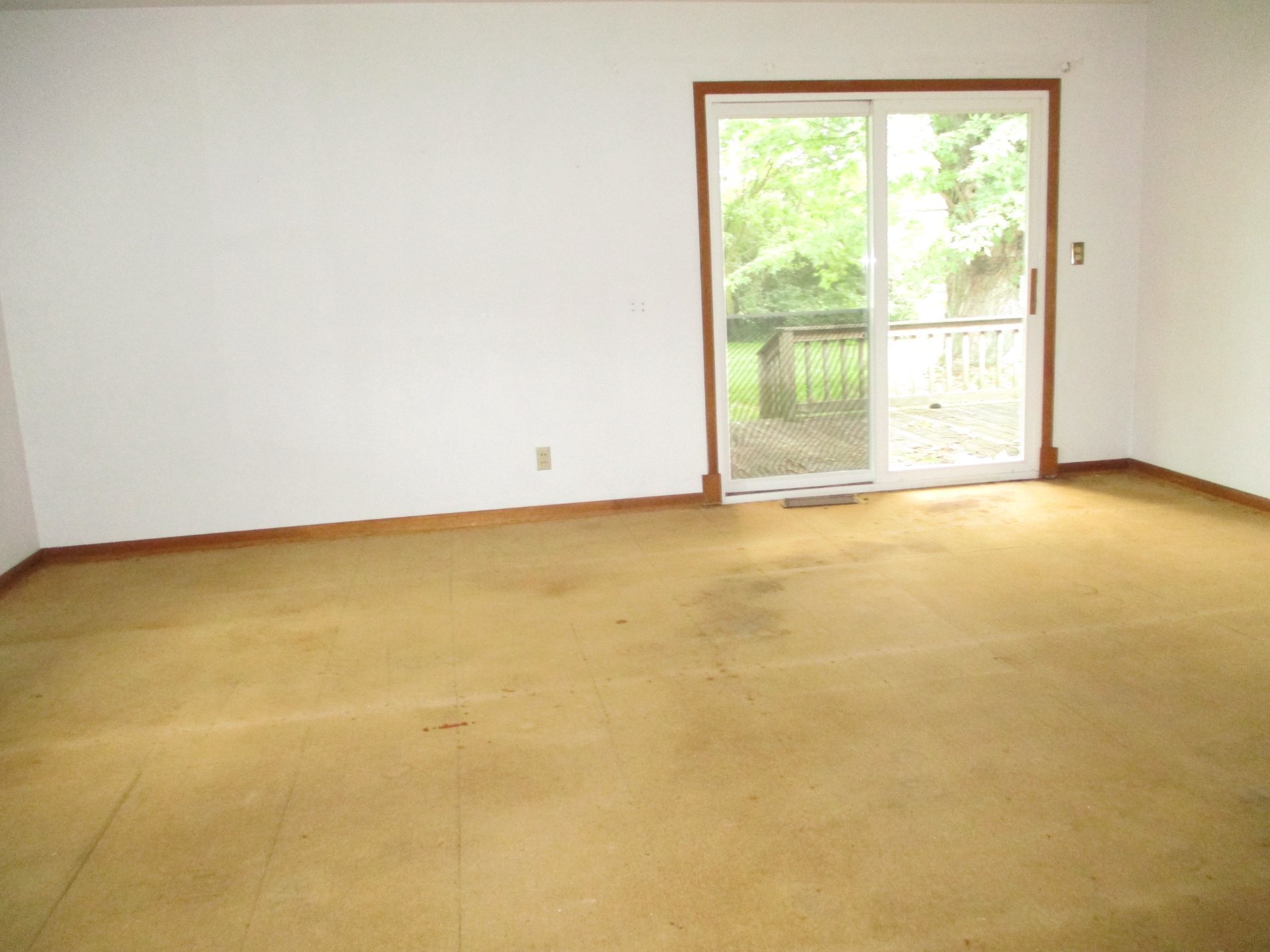 39c0dedb-ac4b-4481-9253-874df24521cc.jpg