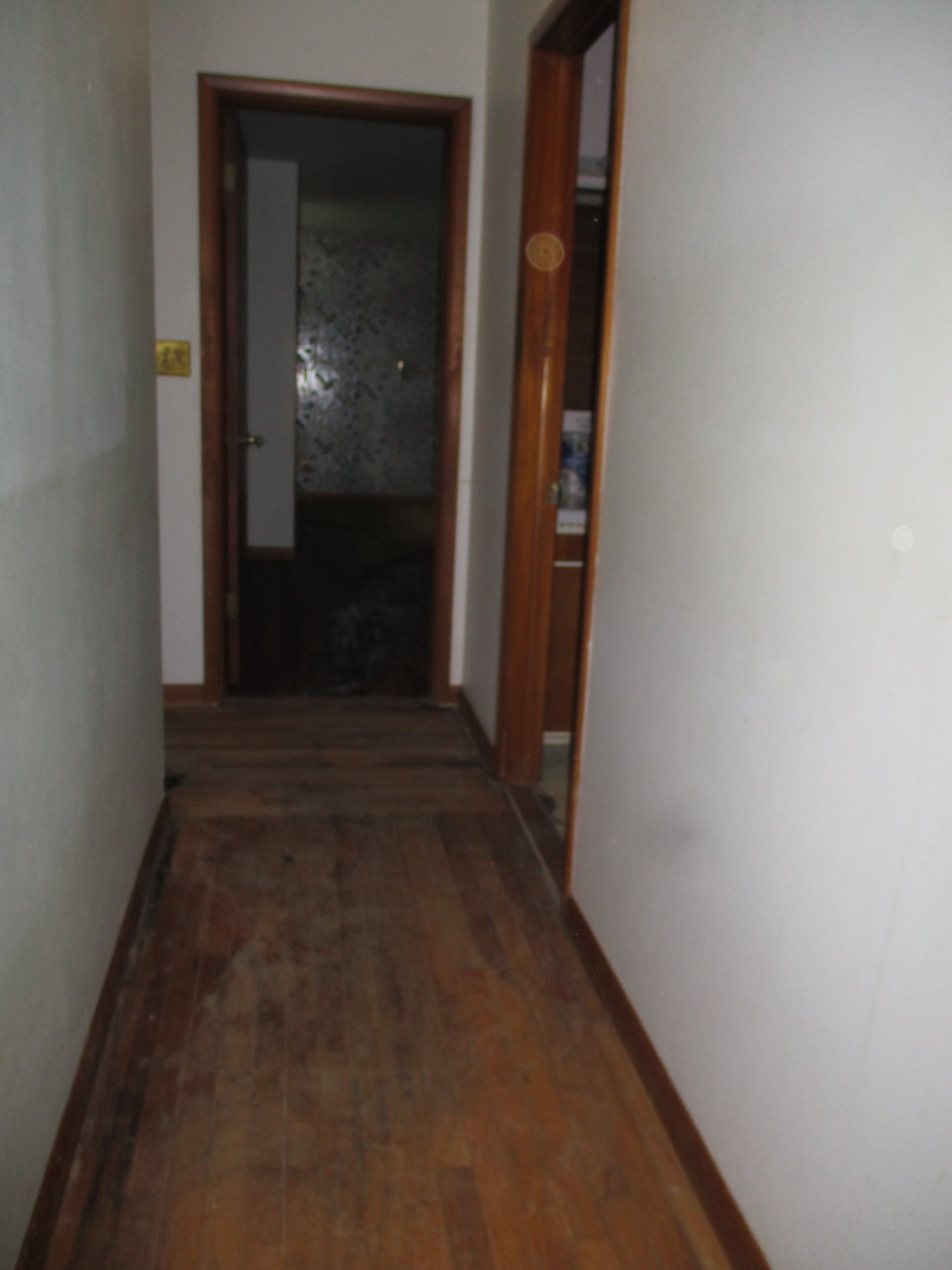 3bbde567-fa25-4847-a21e-9a3311b15ef2.jpg